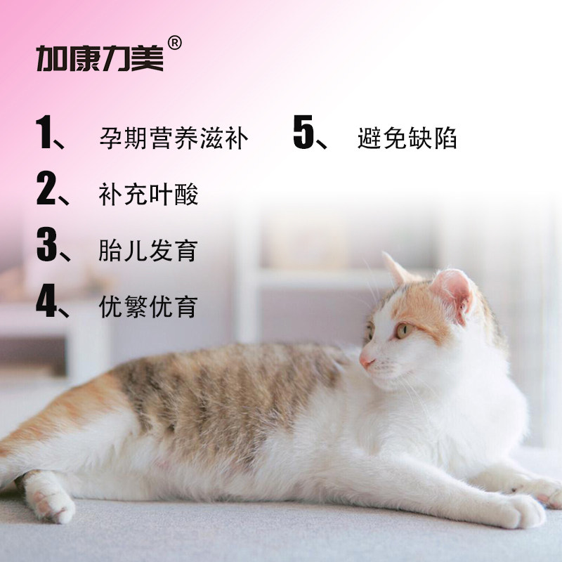 猫咪怀孕营养品猫咪叶酸猫备孕母猫孕期孕猫补品怀孕猫复合营养品
