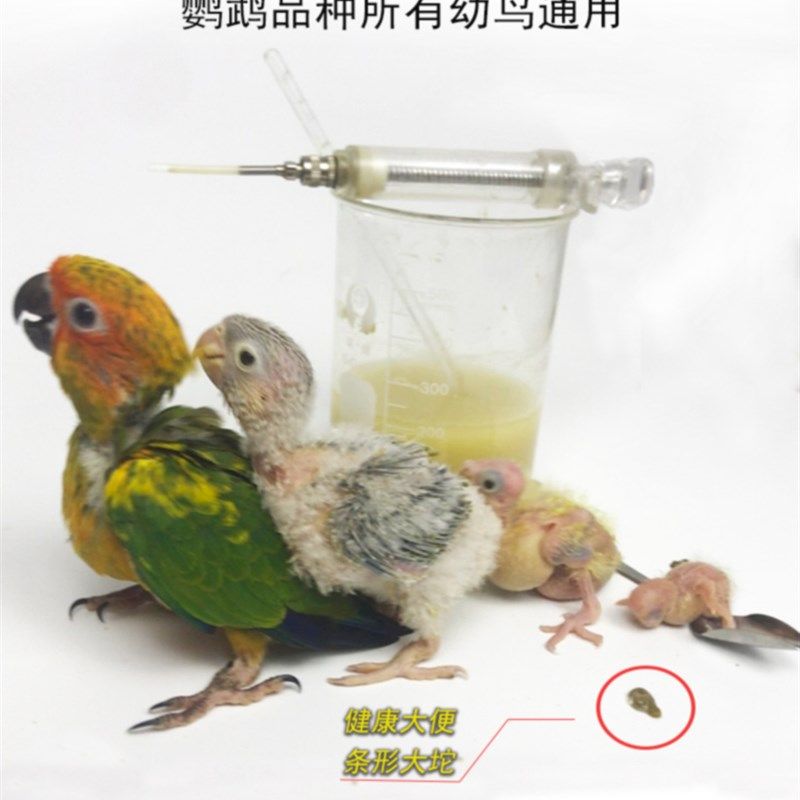 君羽鹦鹉奶粉牡丹玄凤手养鹦鹉饲料玄风虎皮幼鸟专用粮雏增肥鸟食,宠物/宠物食品及用品,鸟食,淘宝优惠券,粉丝福利购,淘宝优惠卷