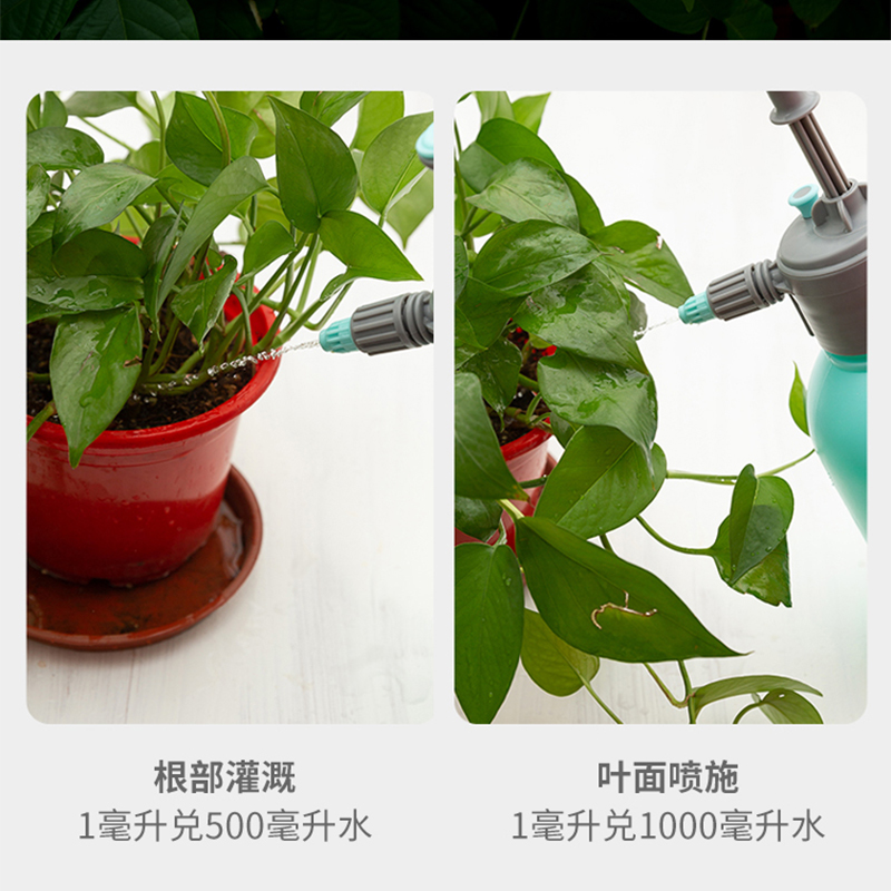 营养液植物通用型花肥发财树富贵竹绿萝水培盆栽家用花卉养花肥料