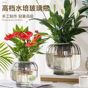 水培花瓶玻璃瓶红掌吊兰绿萝一帆风顺创意水养绿植插花大号花瓶子