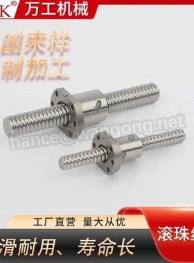 FSL40E20005C7 线性滚珠丝杆模组滑台配套丝杠SFU1605-4