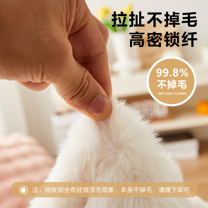 奶油风兔毛绒床边毯家用地毯客厅茶几垫202新款秋冬卧室房间地垫