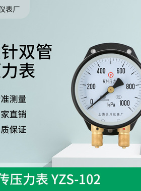 YZS-102双针双管压力表铁路面板压力表 1000KPa上海天川压力表
