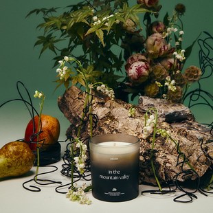 U 铃兰芍药梨 山中幽谷 无烟香薰蜡烛卧室新助眠香送礼