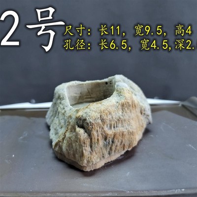 吴定石吸水石花盆 多肉菖蒲文竹石斛透气上水石小豆盆一物一拍