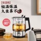 欧美特煮茶器全自动煮茶壶玻璃蒸茶壶蒸汽煮茶壶黑茶壶