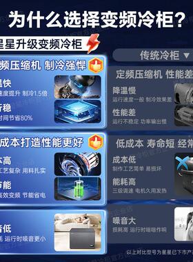 0冰柜用商超低温200/3零0升下40/BD\/BC-165度家用减霜冷藏保鲜冷