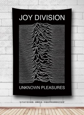 Jo Diiion快乐分裂摇滚乐队唱片挂布脉冲酒吧琴行装饰背景布