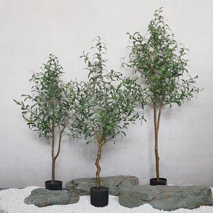 仿真盆景竹子椿树橄榄芦苇草室内装饰品绿植落地艺装