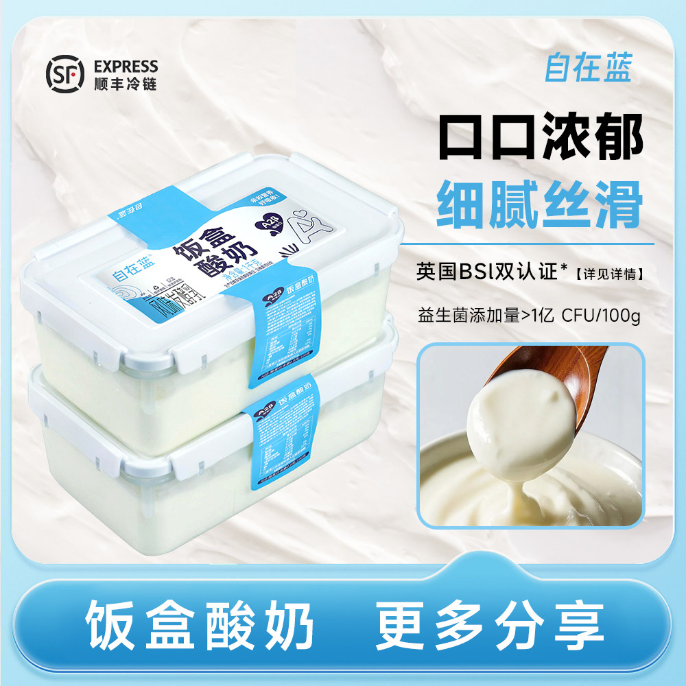 自在蓝饭盒酸奶风味发酵乳1kg儿童营养饭盒早餐晚餐低温原味酸奶