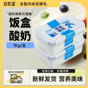 自在蓝饭盒酸奶风味发酵乳低温酸奶1kg营养饭盒早餐官方旗舰店