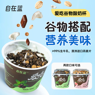 自在蓝谷物酸奶搅拌谷物坚果即食酸奶碗0蔗糖非油炸可代餐旗舰店