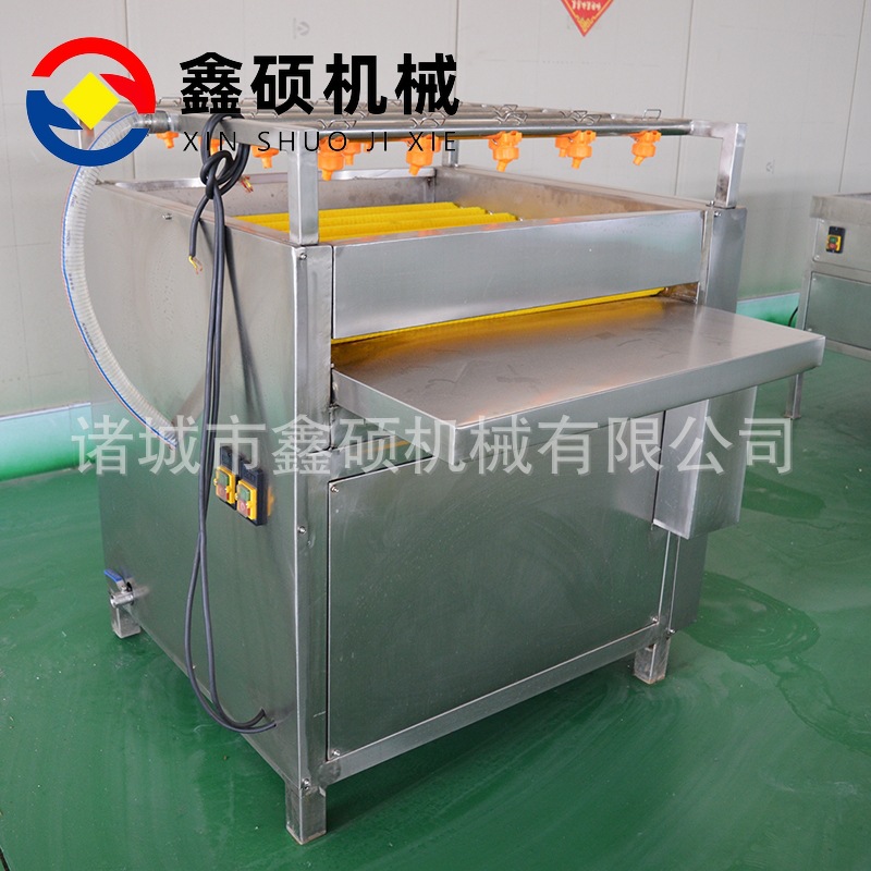 荷叶粽叶清洗设备山菜清洗机全自动洗粽叶机器蒸煮粽子流水线设备