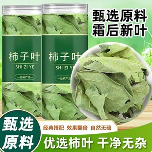 柿子叶中药材500g干柿子叶新鲜干货可打柿子叶粉柿叶霜后柿子树叶
