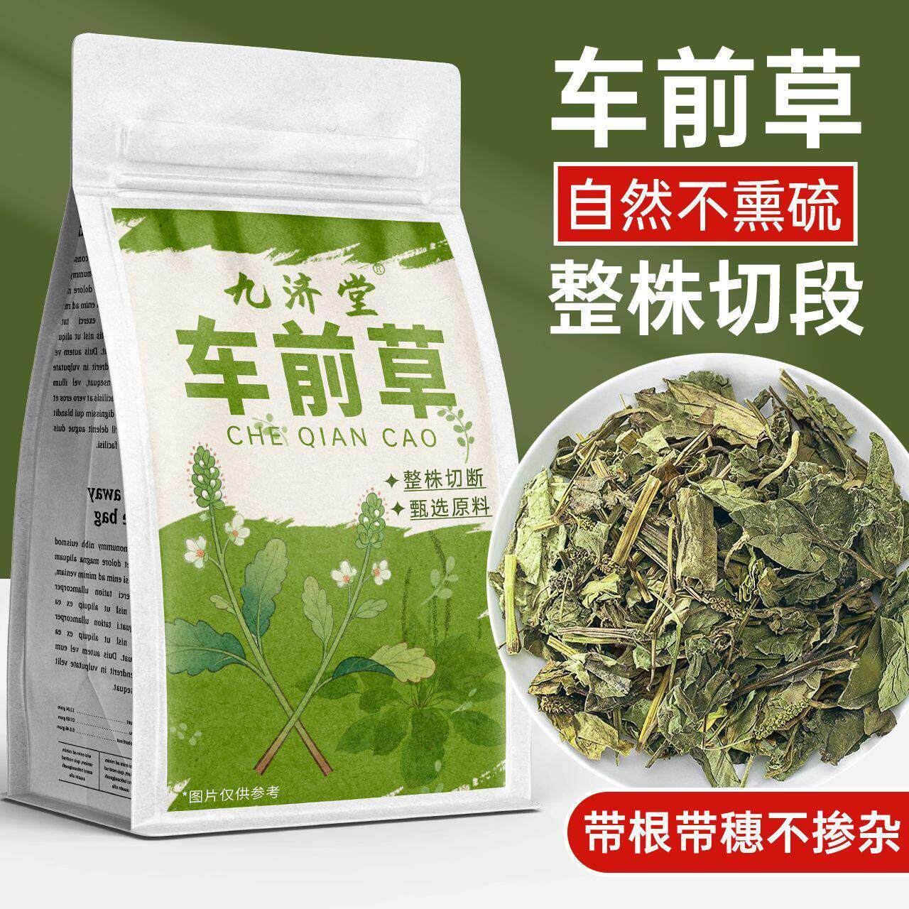 车前草野生特级干货官方旗舰店