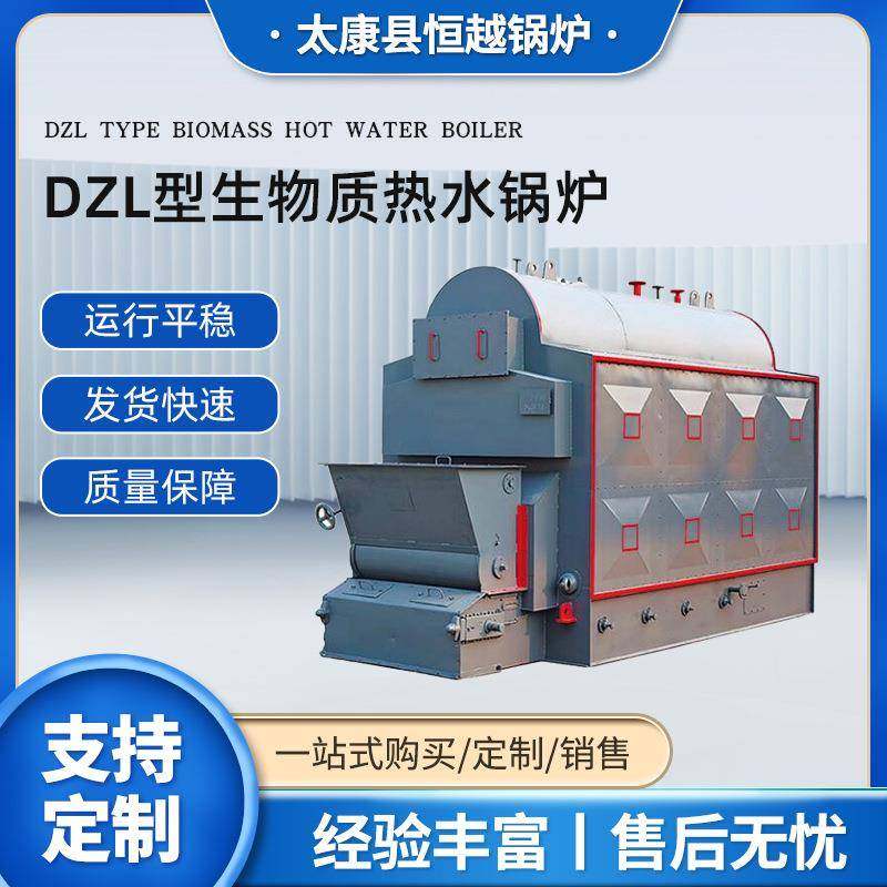 DZL型燃生物质颗粒热水锅炉自动链条燃煤蒸汽锅炉6吨快装组装锅炉