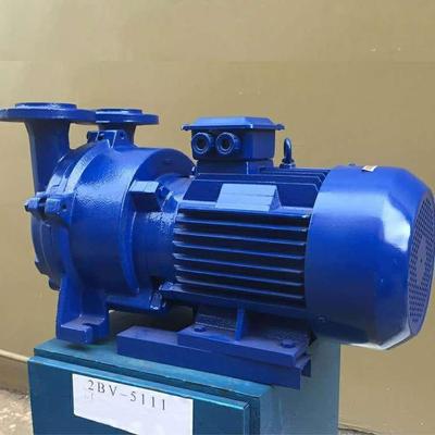 水环真空泵2BV20612BV液环式真空泵SKA电动水环式真空泵厂家