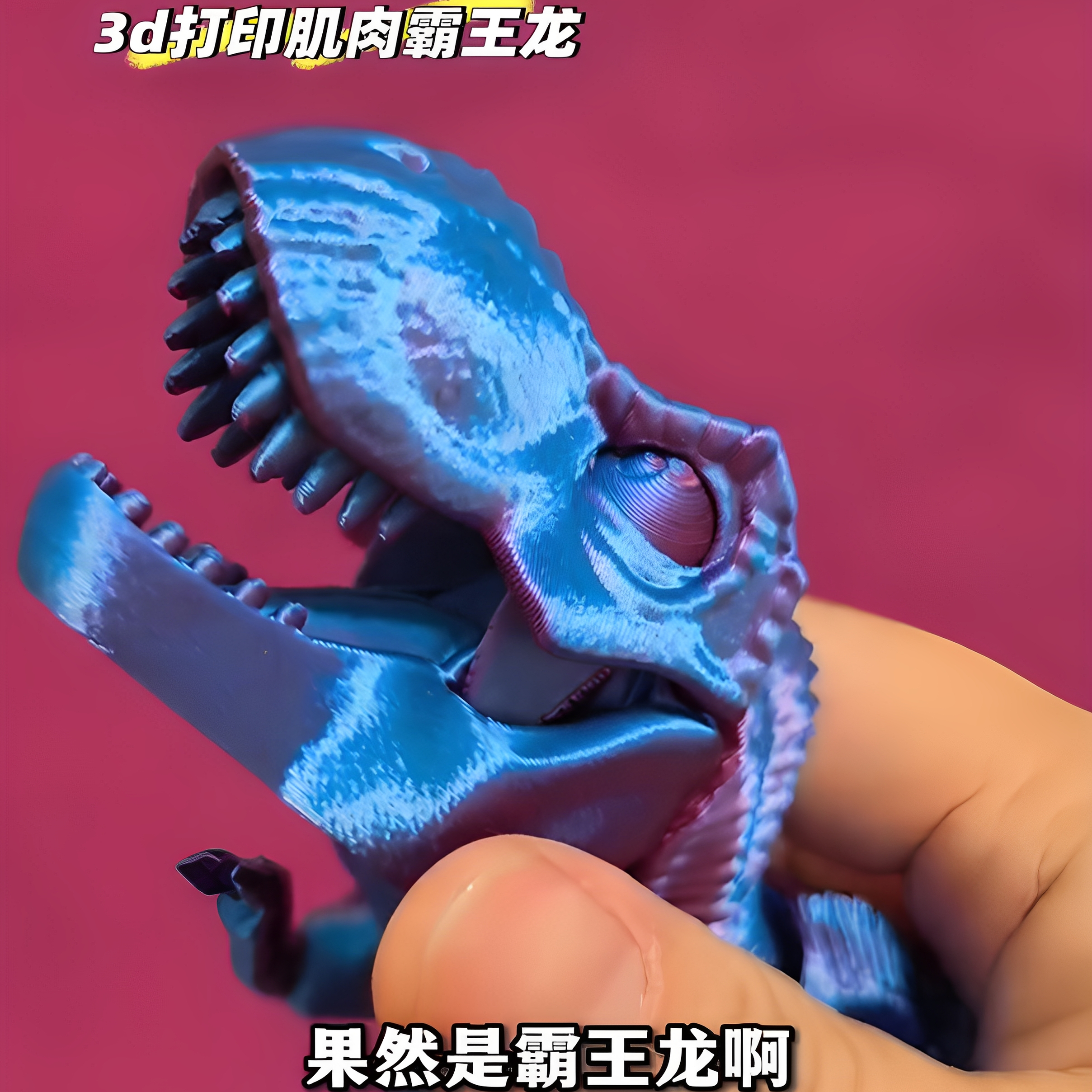 吾家有龙肌肉质感霸王龙