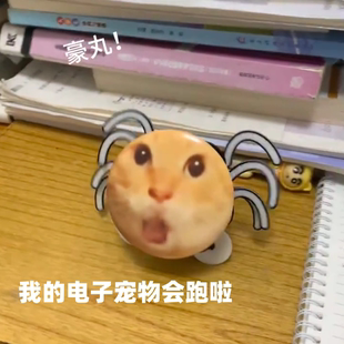 【爬行耄耋猫】圆头蜘蛛猫抽象爬行创意玩具搞怪礼物整蛊宠物儿童