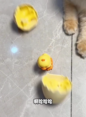 豪神金的玩具，会出壳的小鸭