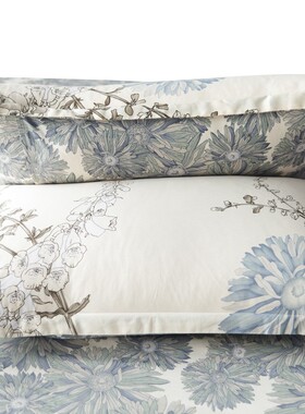 纯棉枕套单个夏全棉枕头套单人枕用卡通双人情侣枕芯套一对2只