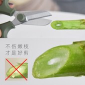 花剪园艺花艺剪刀修枝剪花店修剪花枝鲜花花艺师插花专用剪子工具