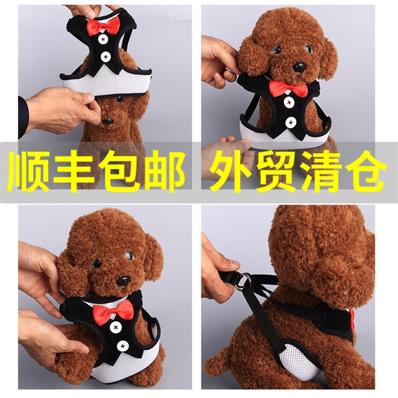 小狗链狗狗牵引绳猫胸背带遛狗链子小型犬中型狗绳子泰迪宠物用品