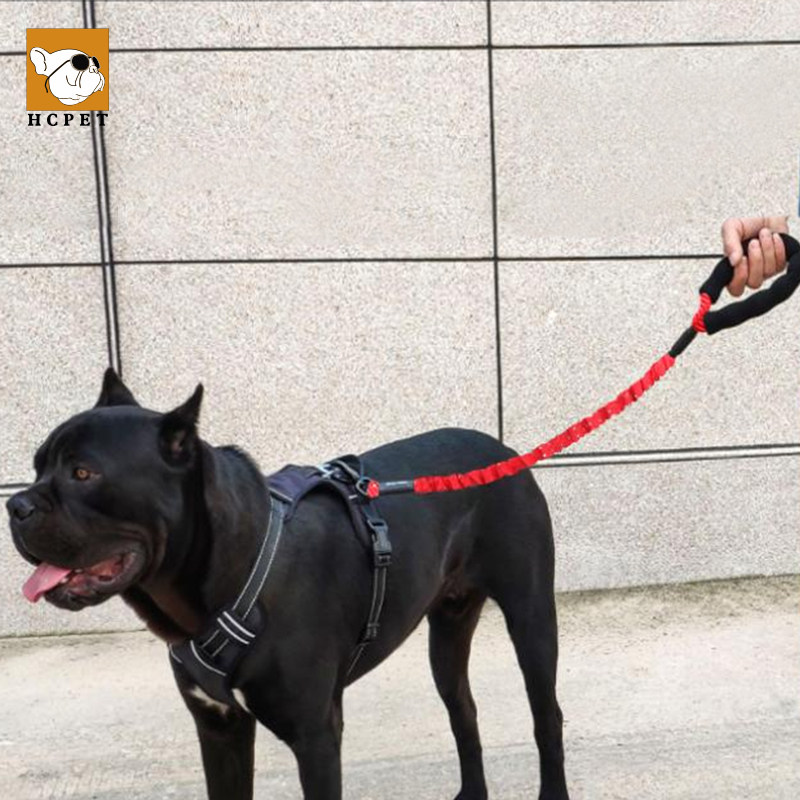 狗狗牵引绳防爆冲可伸缩狗链金毛拉布拉多小型中大型遛狗宠物用品,宠物/宠物食品及用品,狗牵引绳,淘宝优惠券,粉丝福利购,淘宝优惠卷