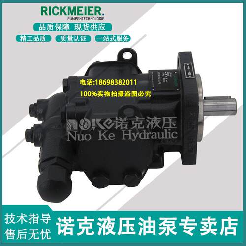 Rickmeier润滑输出齿轮泵R35/50 FL-Z-DB4-W-SAE2-R-SO润滑油泵