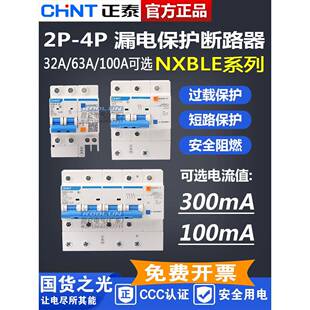 正电漏电Dz47Le Nxble 2P 100Ma 300Ma漏电保护开关0.1A 0.3A
