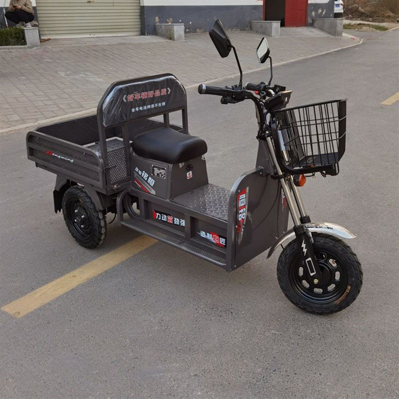 电动带兜三轮车长跑电瓶代步车家用农用货车载重王拉货牛马大力重