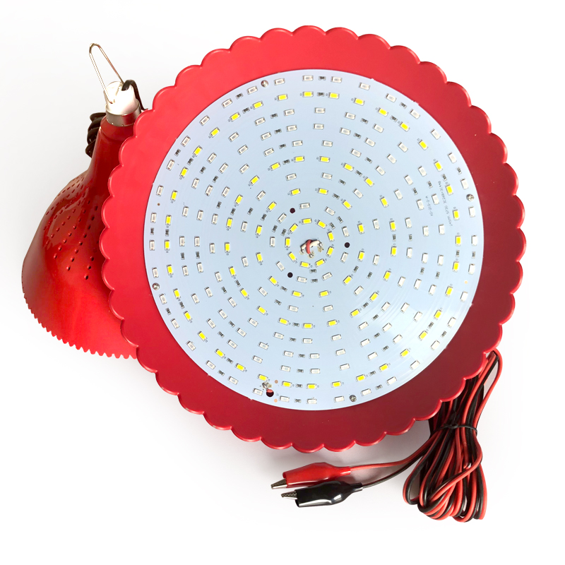 LED12V低压电瓶灯充电水果灯60伏72v电动车三轮车夜市摆摊灯