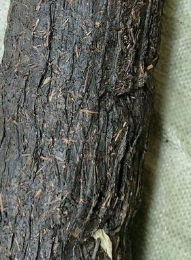 送茶座老陈茶陈年金花千两茶柱36250g湖南花卷茶大茶柱子