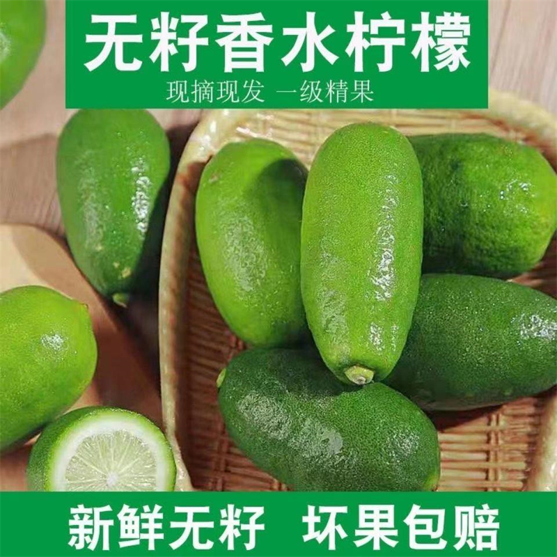 香水无籽青柠檬海南新鲜水果现摘一二级奶茶店商用5斤9斤广东青柠