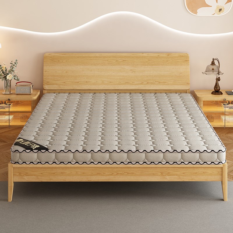天然椰棕床垫硬垫子折叠棕垫护腰护脊3e环保棕榈家用卧室1米5垫子