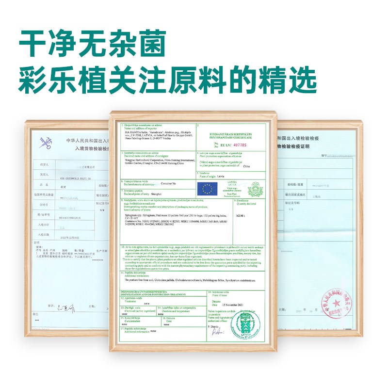 彩乐植营养土通用配方绿植花卉月季稻壳炭松鳞泥炭家用阳台种植