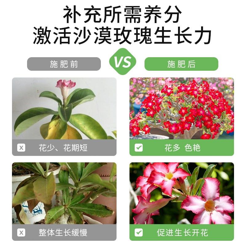 沙漠玫瑰专用肥盆栽花卉肥料沙玫磷土玫瑰开花养护营养液促花花肥,鲜花速递/花卉仿真/绿植园艺,家庭园艺肥料,淘宝优惠券,粉丝福利购,淘宝优惠卷