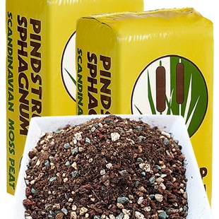 多肉营养土老庄土叶插土小苗颗粒种植土花卉园艺泥炭花土盆栽盆栽