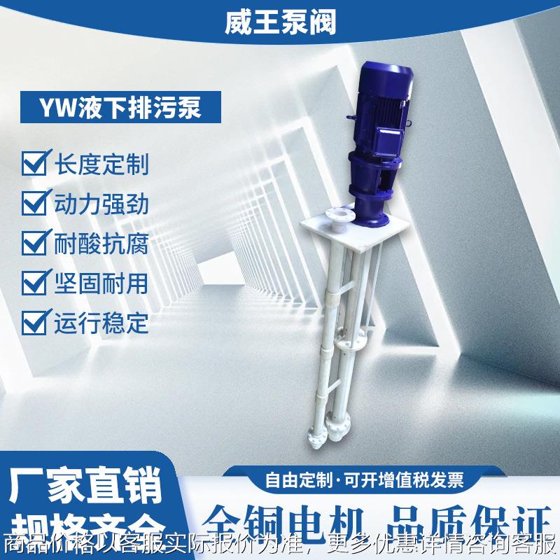 长轴带方盘耐腐蚀液下泵 100YW100-30-15 单双管深度4.5米液下泵