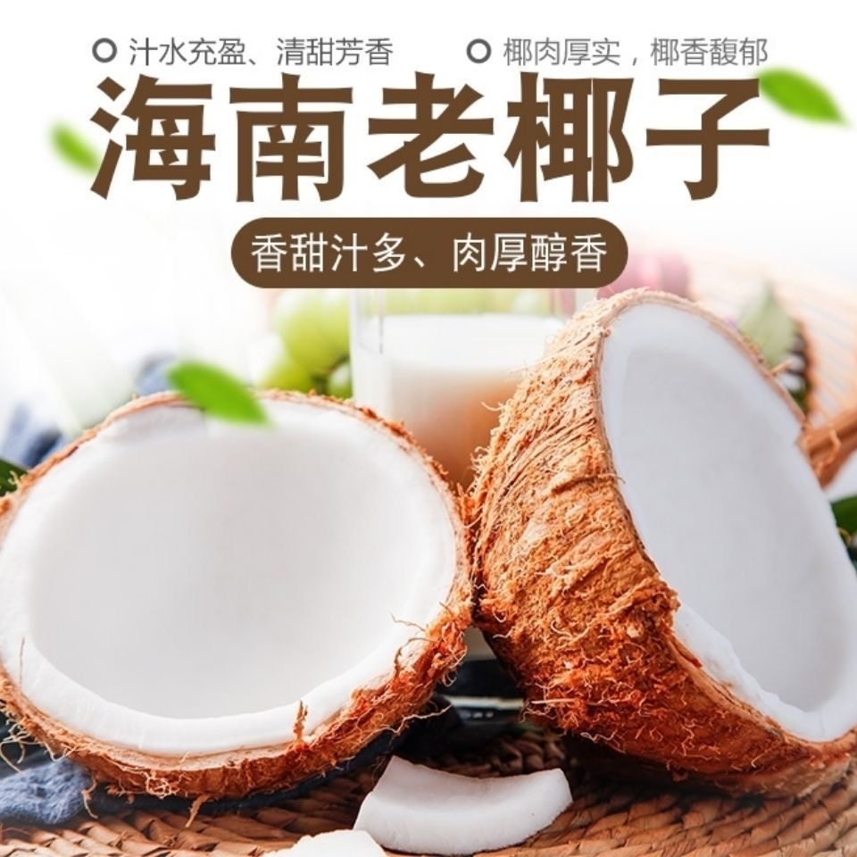 海南新鲜椰子老椰子水果孕妇椰青椰皇去皮毛椰子榨椰汁椰子鸡煲汤