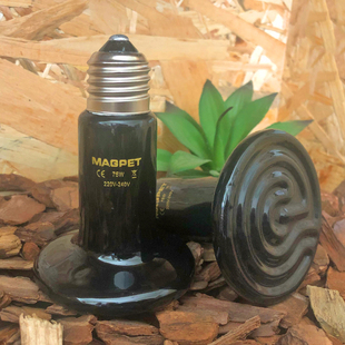 爬虫饲养箱蜥蜴陶瓷加热灯爬宠乌龟加温灯刺猬龟箱陆龟保温灯宠物