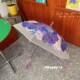 新梦幻绣花球透明雨伞自动长柄加厚抗风高级时尚 小众女士高颜值伞
