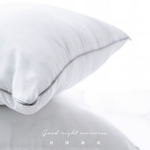 【月球居民】白色内芯磨毛布pp棉抱枕芯靠垫芯50品质内芯枕头