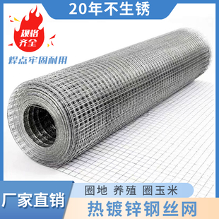 镀锌铁丝网防锈阳台网格家用电焊网养殖网围栏加粗抹灰钢丝网