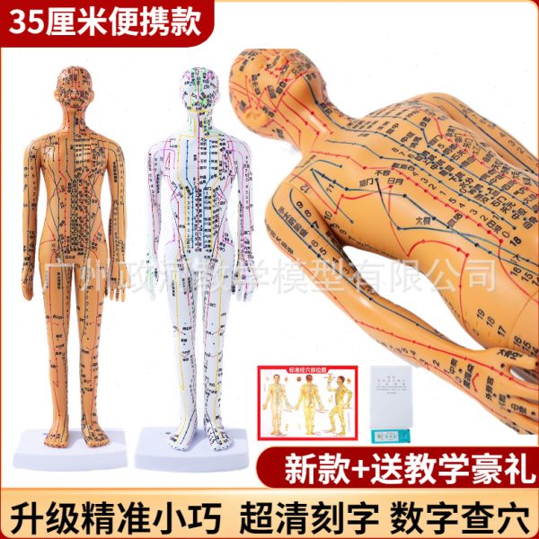 超清晰经络穴位针灸小人模35cm针炙穴位模型中医迷你穴位人体模型