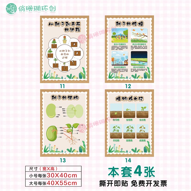 幼儿园春天自然植物角教室走廊班级文化墙面装饰春季探索区角贴画图片