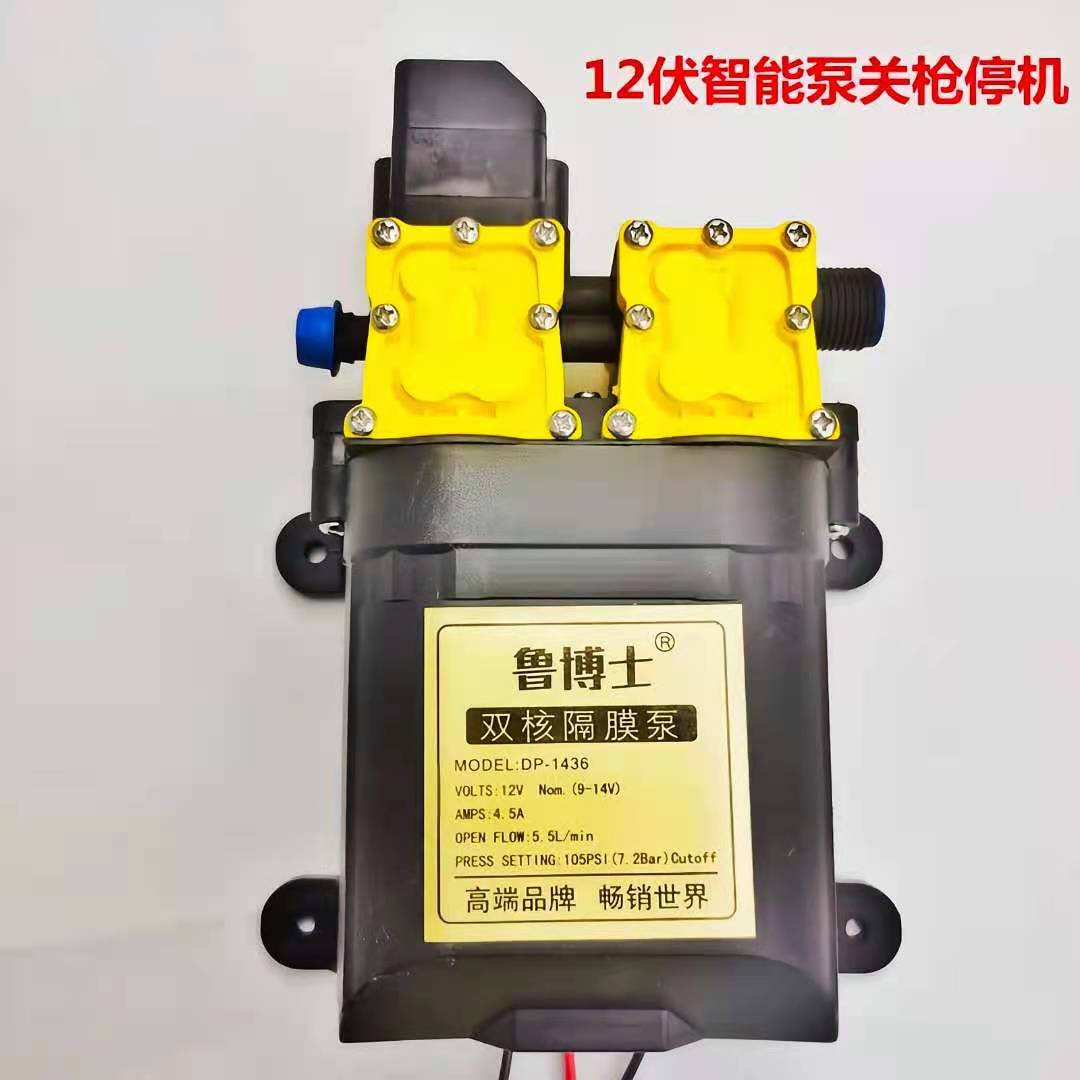鲁博士双核水泵12v隔膜泵大功率关枪自停洗瓶器电动吸水洗车电机