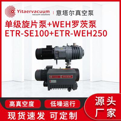 供应单级旋片泵+WEH罗茨泵ETR-SE100+ETR-WEH250真空泵定制厂家