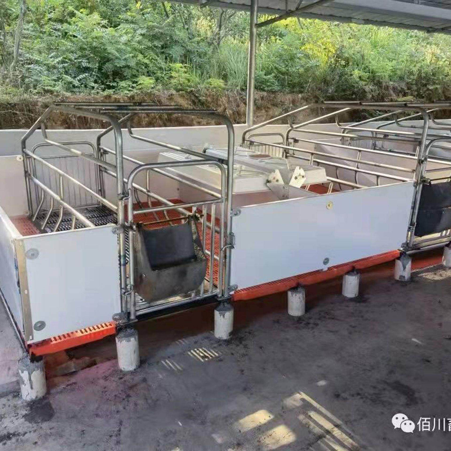 高台球墨铸铁+塑料+PVC板产床,畜牧/养殖物资,畜牧/养殖器械,淘宝优惠券,粉丝福利购,淘宝优惠卷