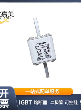 170M3016 快速熔断器 全新原装 电子元器件库存充足 量大价优